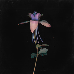 国产成人性生活av
