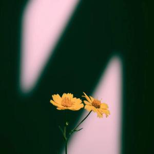 国产成人性生活av
